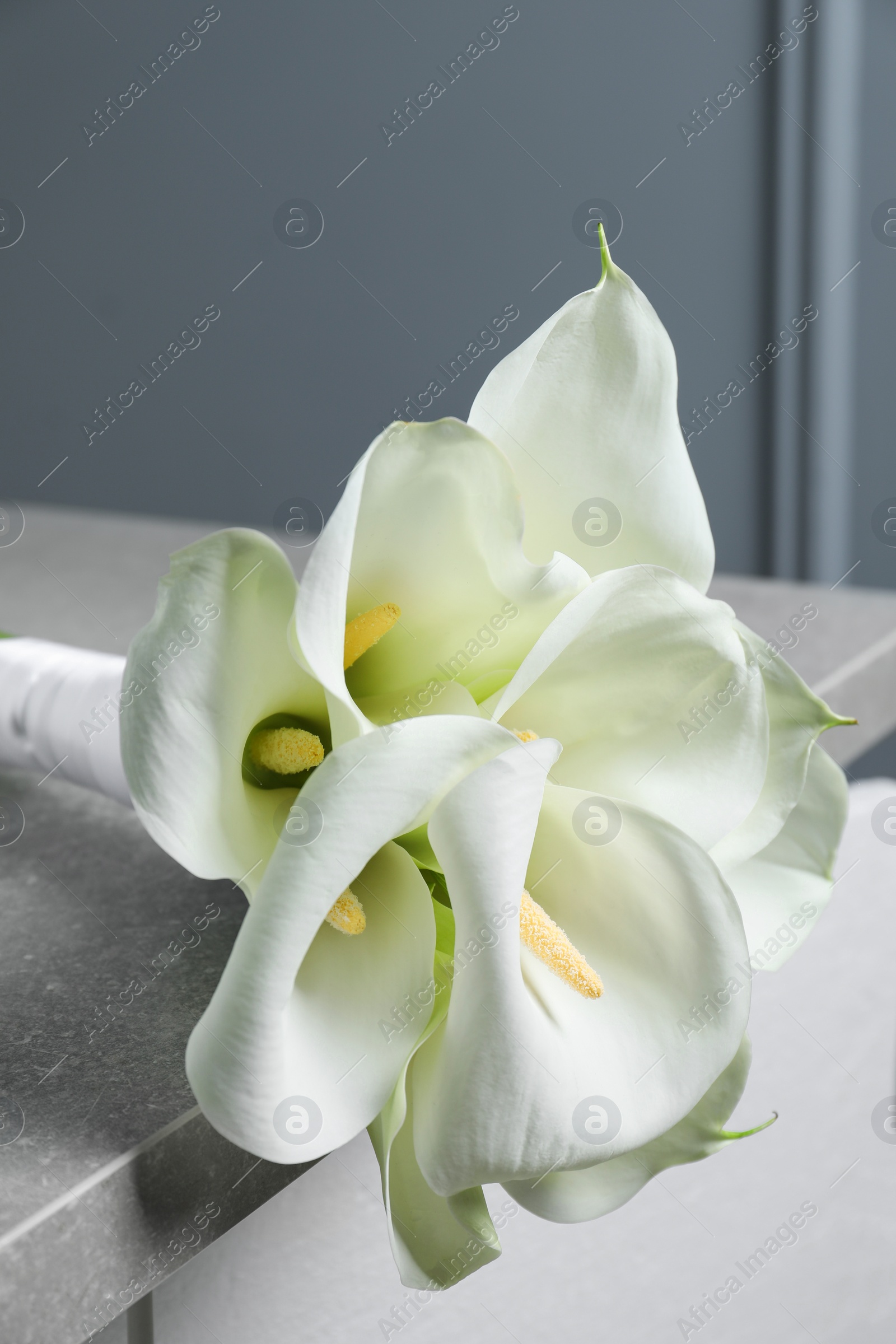 Photo of Beautiful calla lily flowers tied with ribbon on grey table, closeup