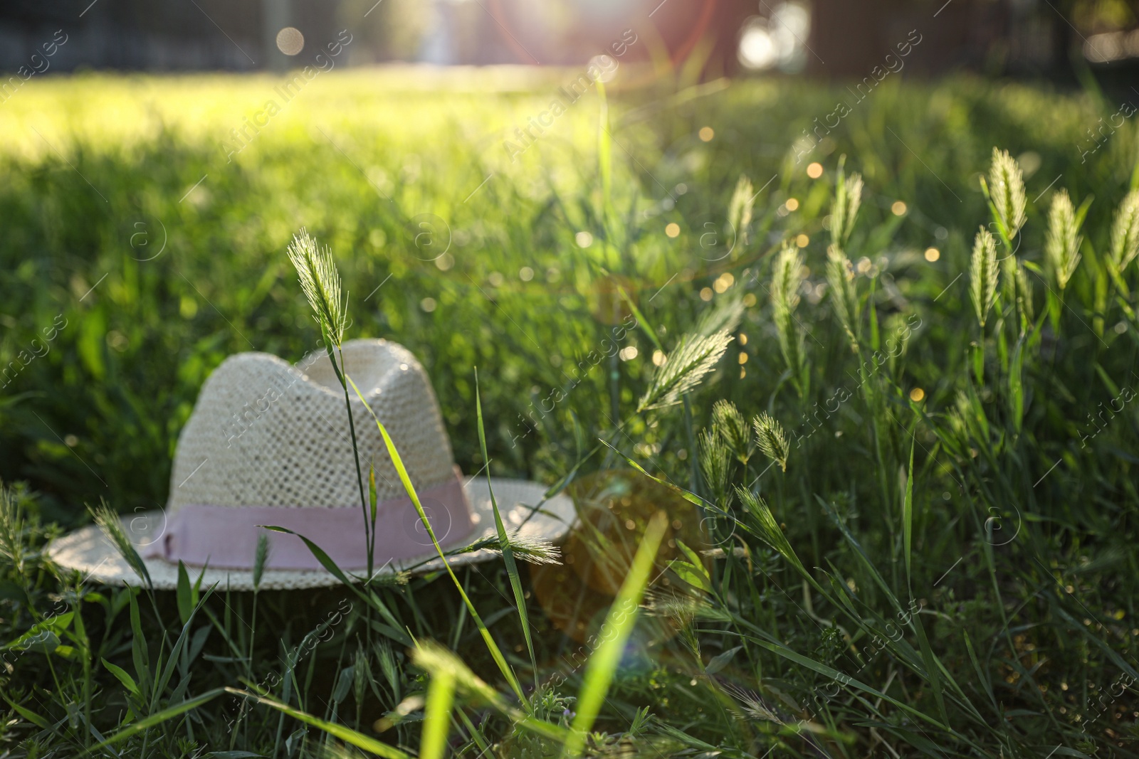 Photo of Straw hat in green meadow on sunny day