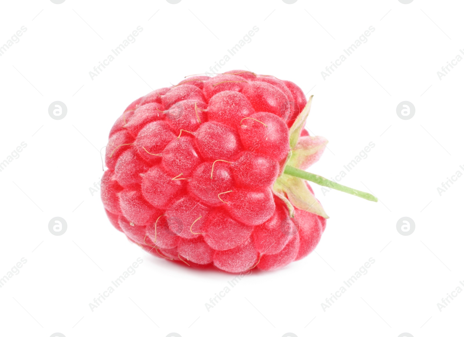 Photo of One tasty ripe raspberry isolated on white