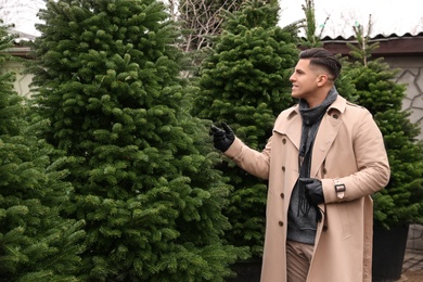 Photo of Man choosing plants at Christmas tree farm. Space for text