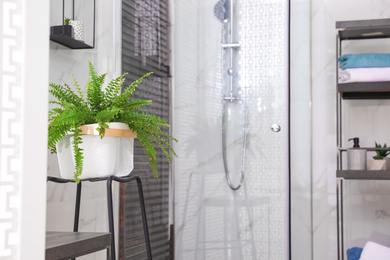 Photo of Beautiful houseplant near shower stall in bathroom interior. Idea for design