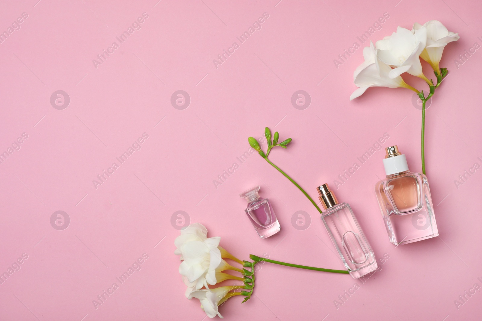 Photo of Bottles of perfume and flowers on color background, top view