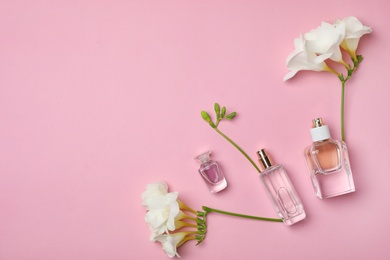 Bottles of perfume and flowers on color background, top view