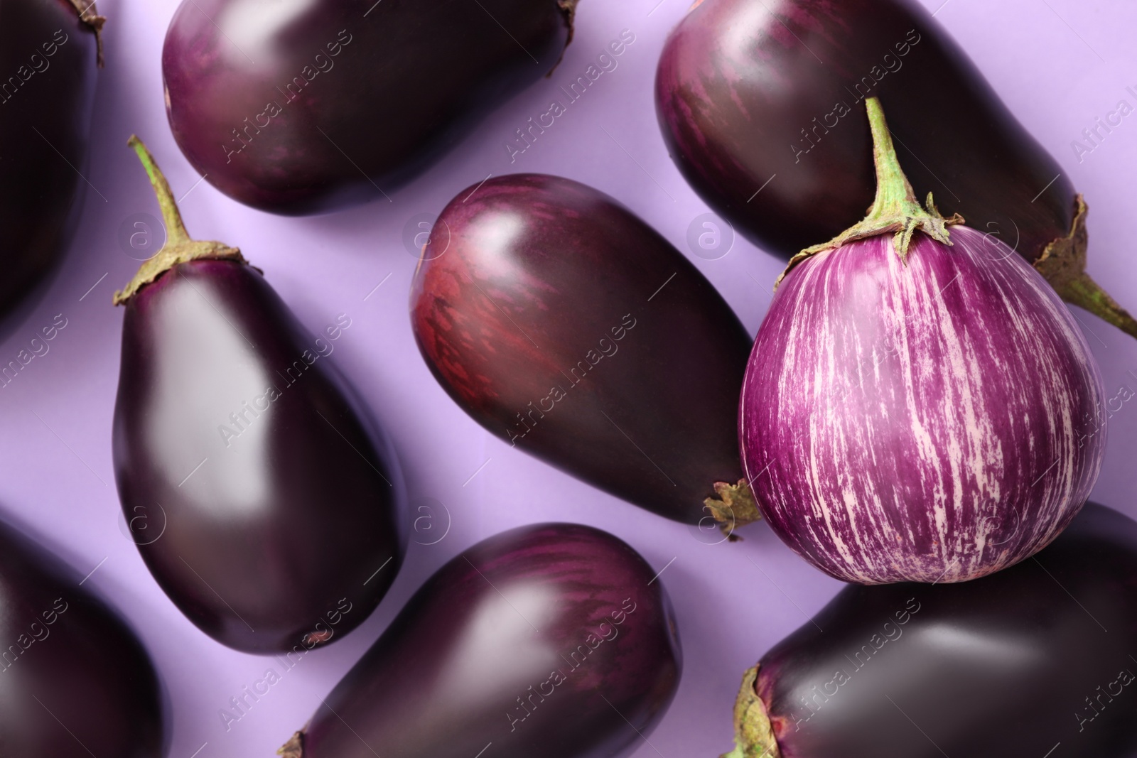 Photo of Raw ripe eggplants on light background, flat lay