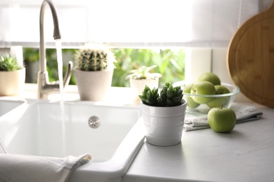 Beautiful potted plants on countertop near window in kitchen