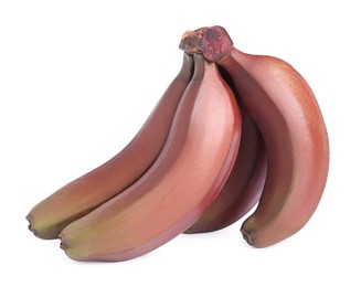 Photo of Delicious red baby bananas on white background