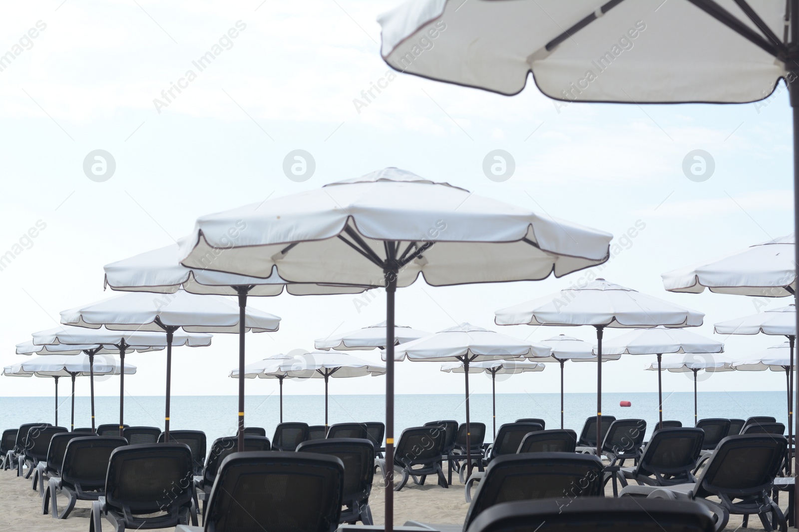 Photo of Many beautiful white umbrellas and black sunbeds on beach