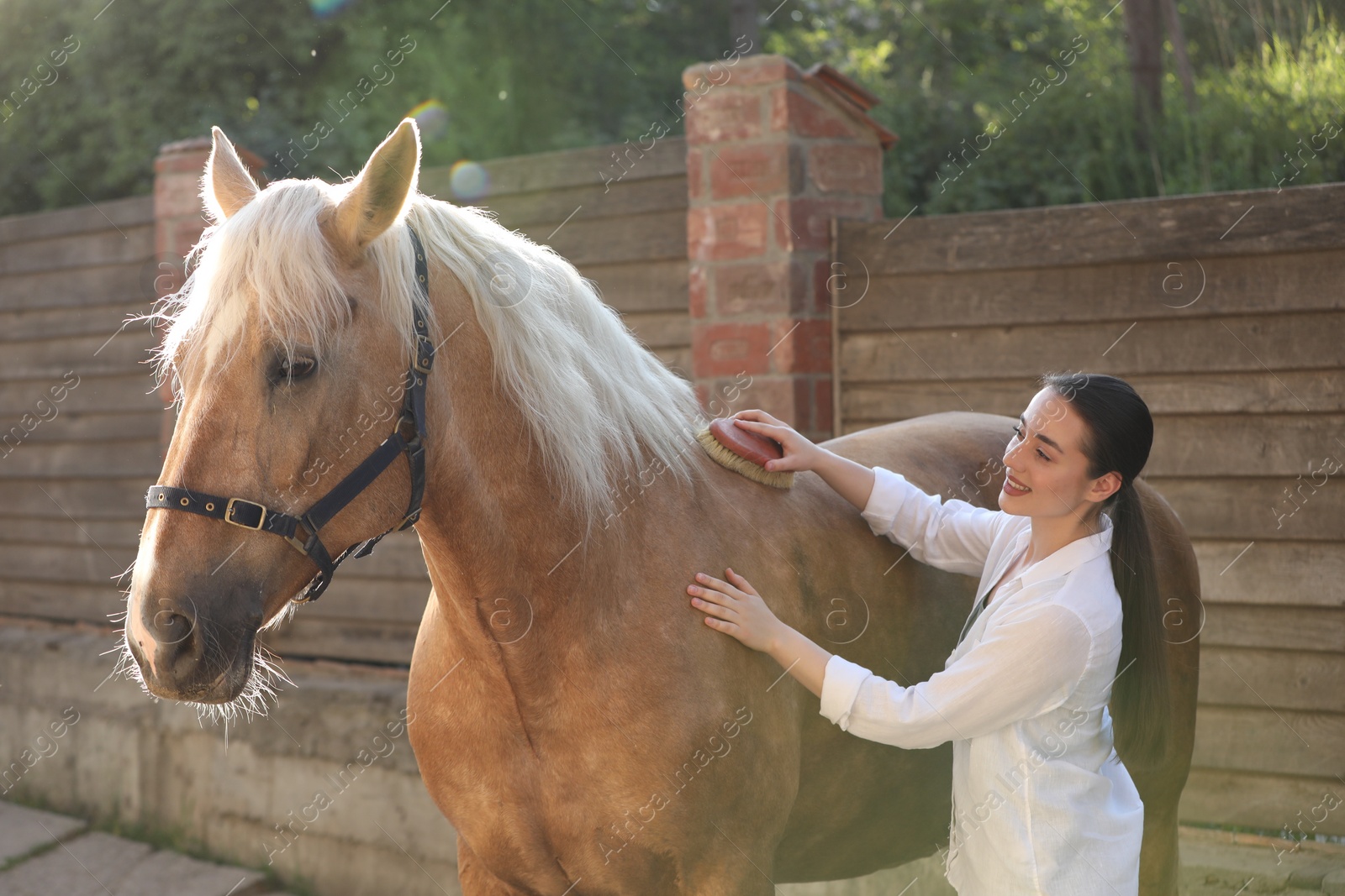 Photo of Woman brushing adorable horse outdoors. Pet care