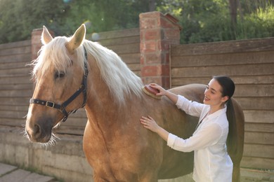 Photo of Woman brushing adorable horse outdoors. Pet care