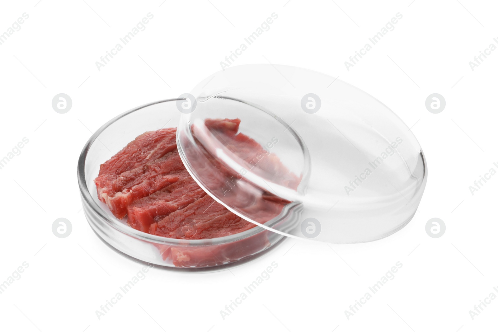 Photo of Petri dish with pieces of raw cultured meat on white background