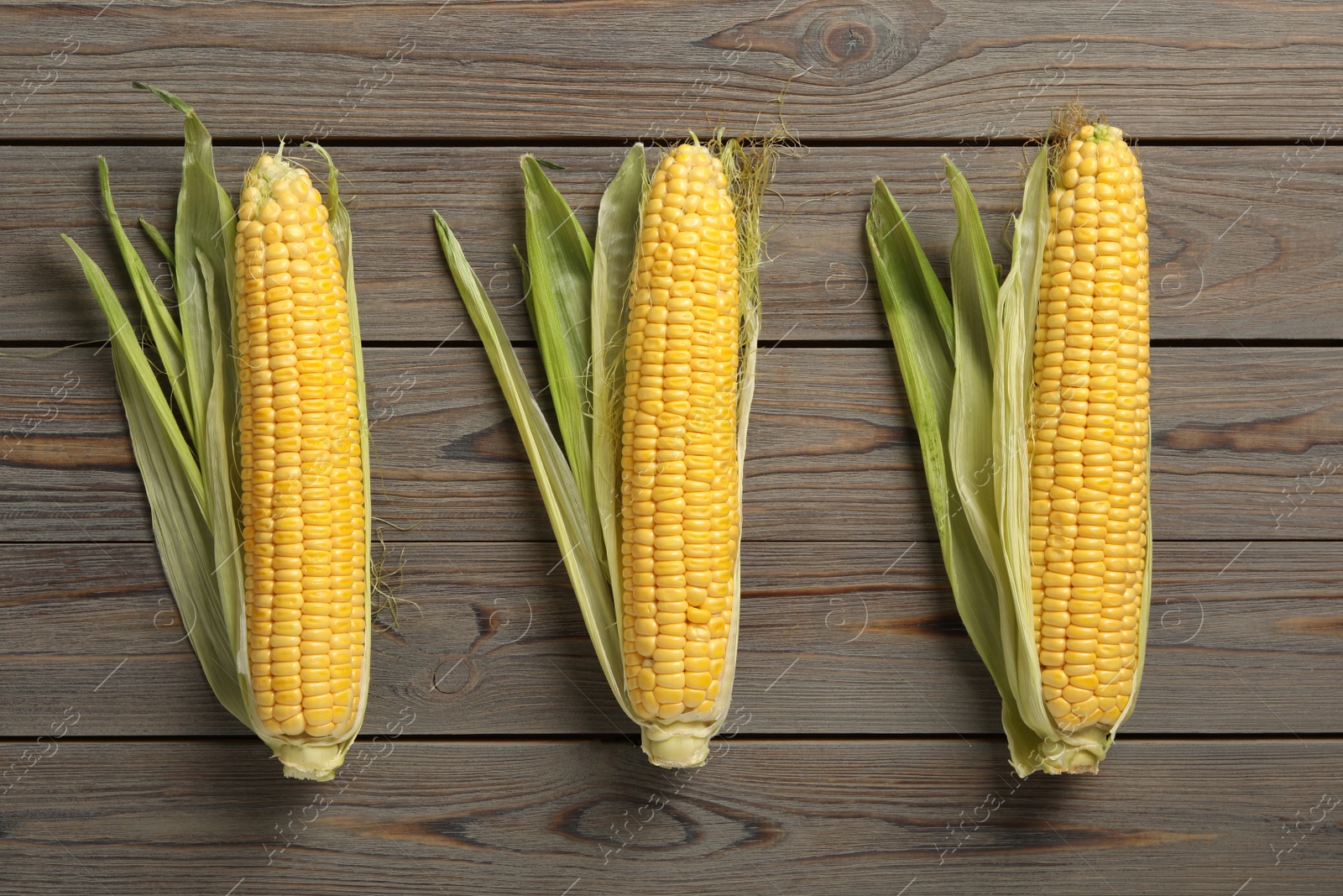 Photo of Tasty sweet corn cobs on wooden table, flat lay