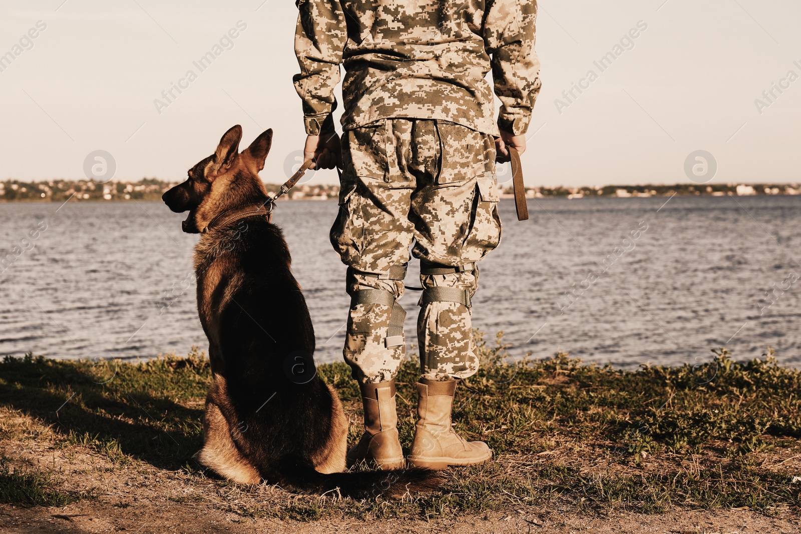 Image of Man in military uniform with German shepherd dog outdoors, closeup