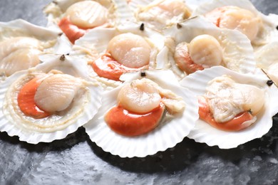 Photo of Fresh raw scallops with shells on black textured table, closeup