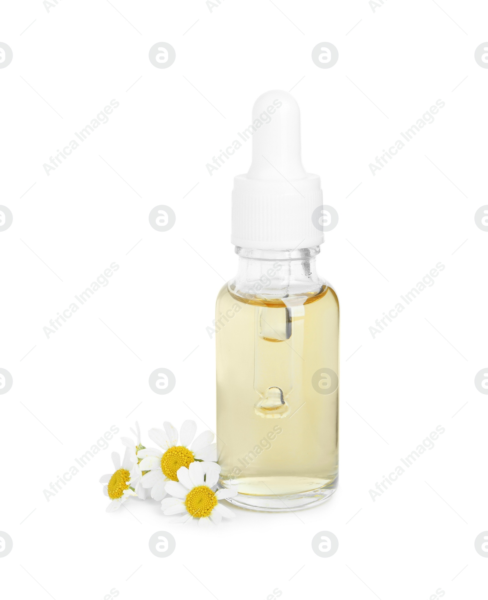 Photo of Bottle of essential oil and fresh chamomiles isolated on white