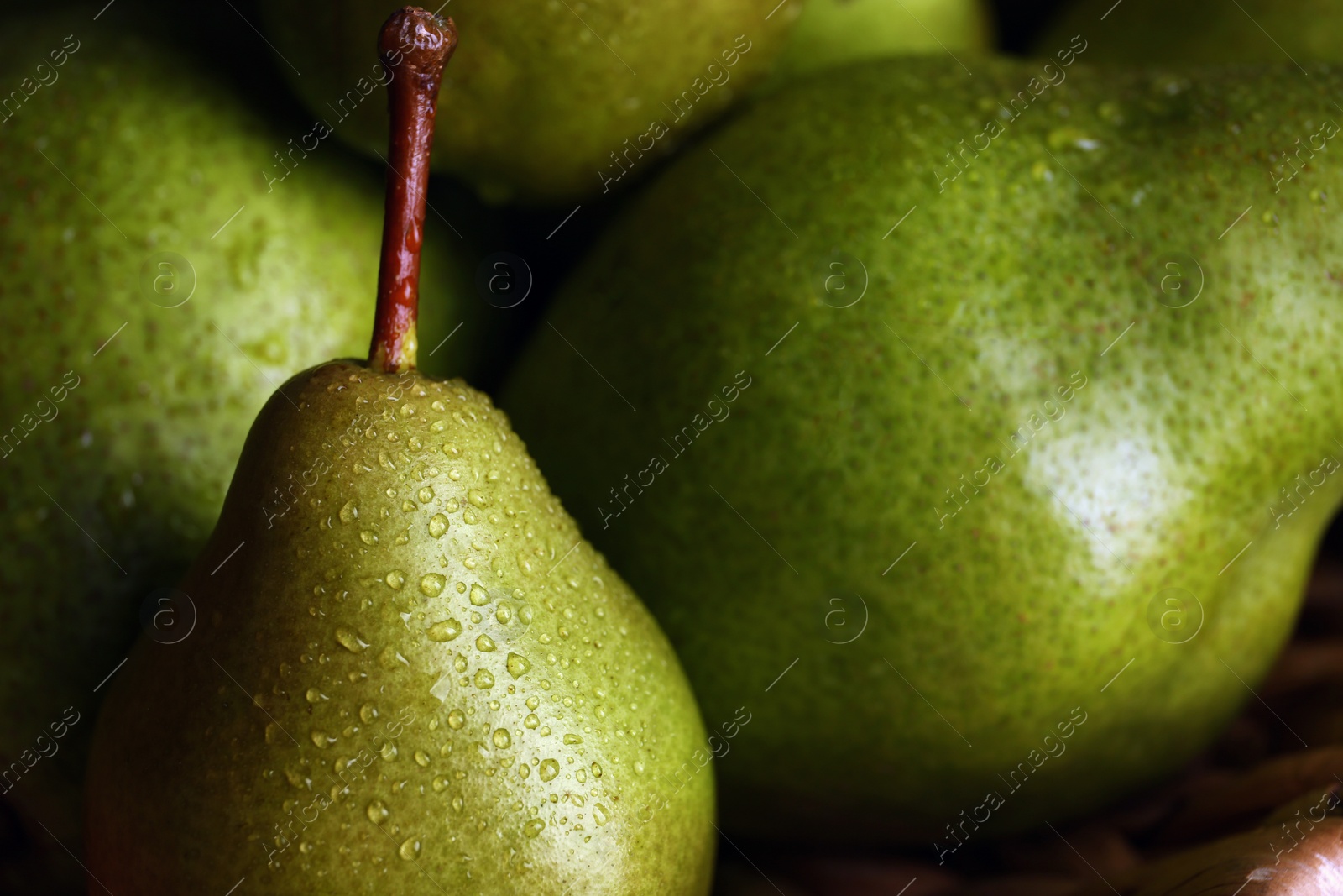 Photo of Ripe green pears with water drops as background, closeup