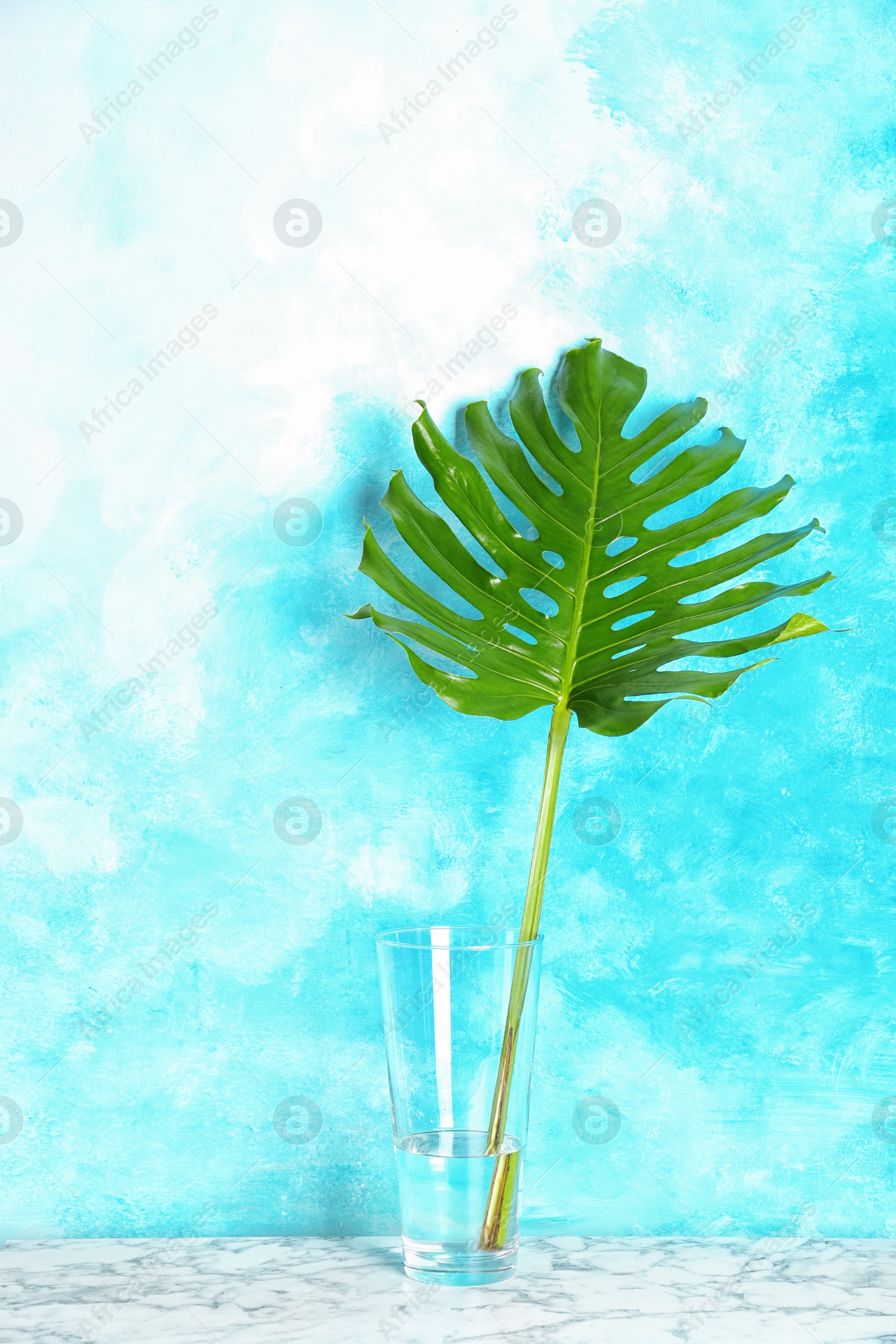 Photo of Vase with tropical monstera leaf on table near color wall