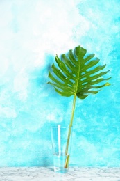 Vase with tropical monstera leaf on table near color wall