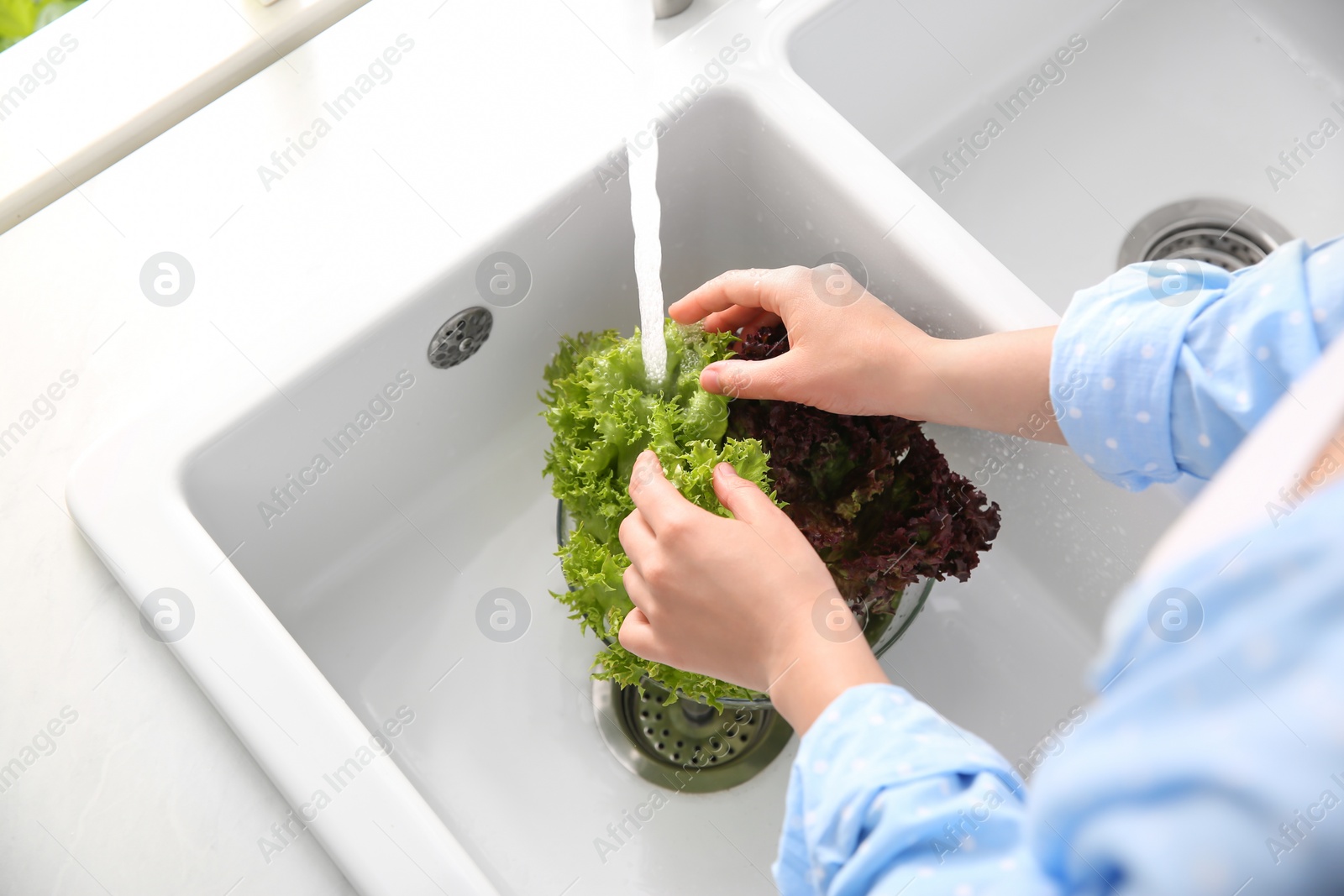 Photo of Woman washing fresh lettuce in kitchen sink, closeup