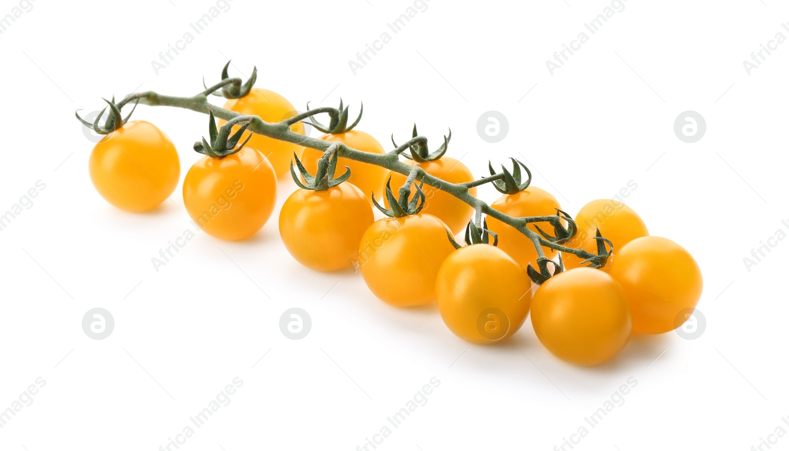 Photo of Branch of yellow cherry tomatoes on white background