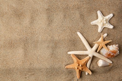 Photo of Beautiful starfishes and sea shells on sand, flat lay. Space for text