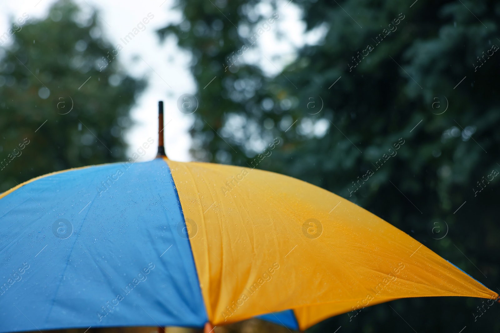 Photo of Yellow and blue umbrella outdoors on rainy day, closeup