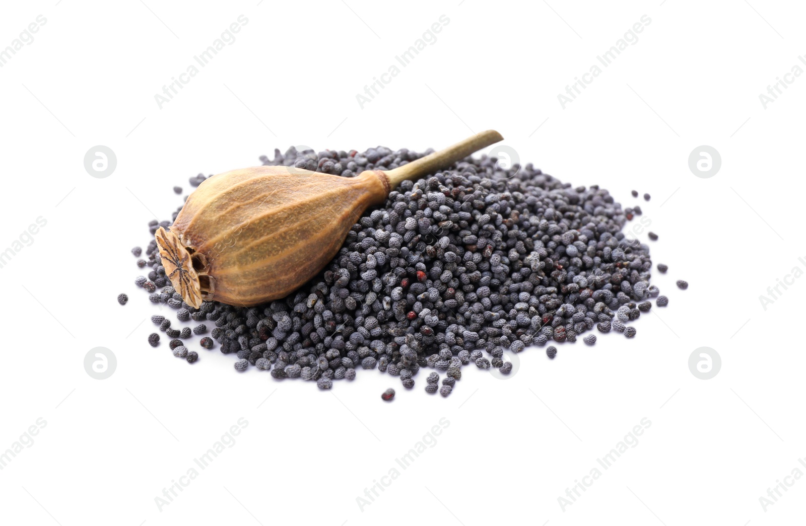 Photo of Dry poppyhead and pile of seeds on white background