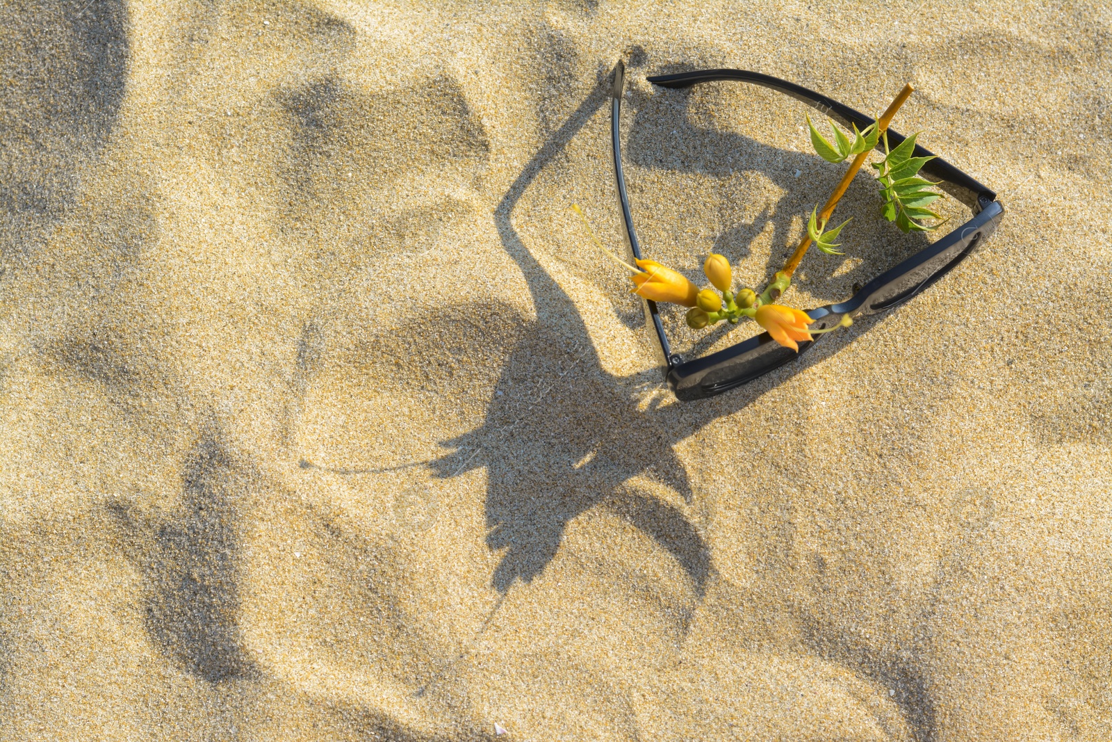 Photo of Stylish sunglasses and tropical flower on sand, flat lay. Space for text