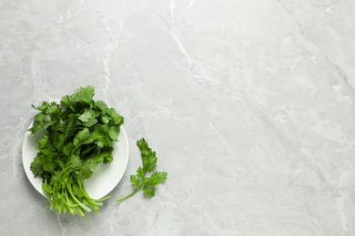 Photo of Fresh green cilantro on light grey marble table, flat lay. Space for text