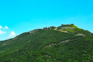 Beautiful view of green mountains on sunny day