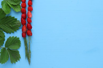 Grass stems with wild strawberries and leaves on light blue wooden table, flat lay. Space for text