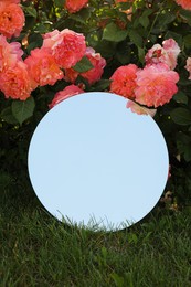 Photo of Round mirror on grass near beautiful flowers