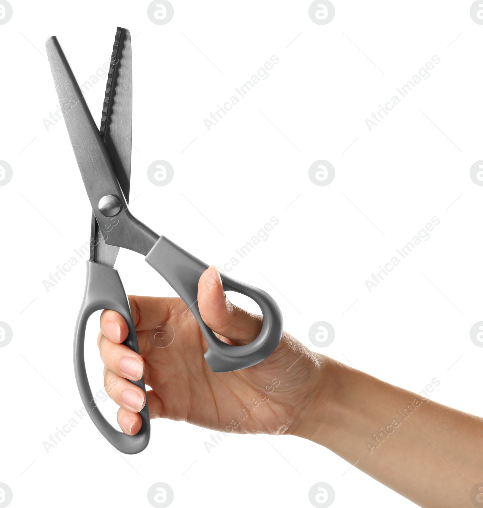 Photo of Woman holding sewing scissors isolated on white, closeup