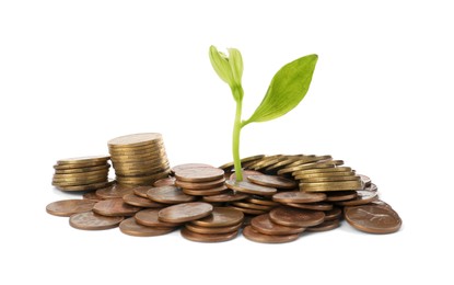 Photo of Pile of coins and green plant on white background. Investment concept