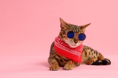 Photo of Cute Bengal cat with sunglasses and red bandana on pink background, space for text