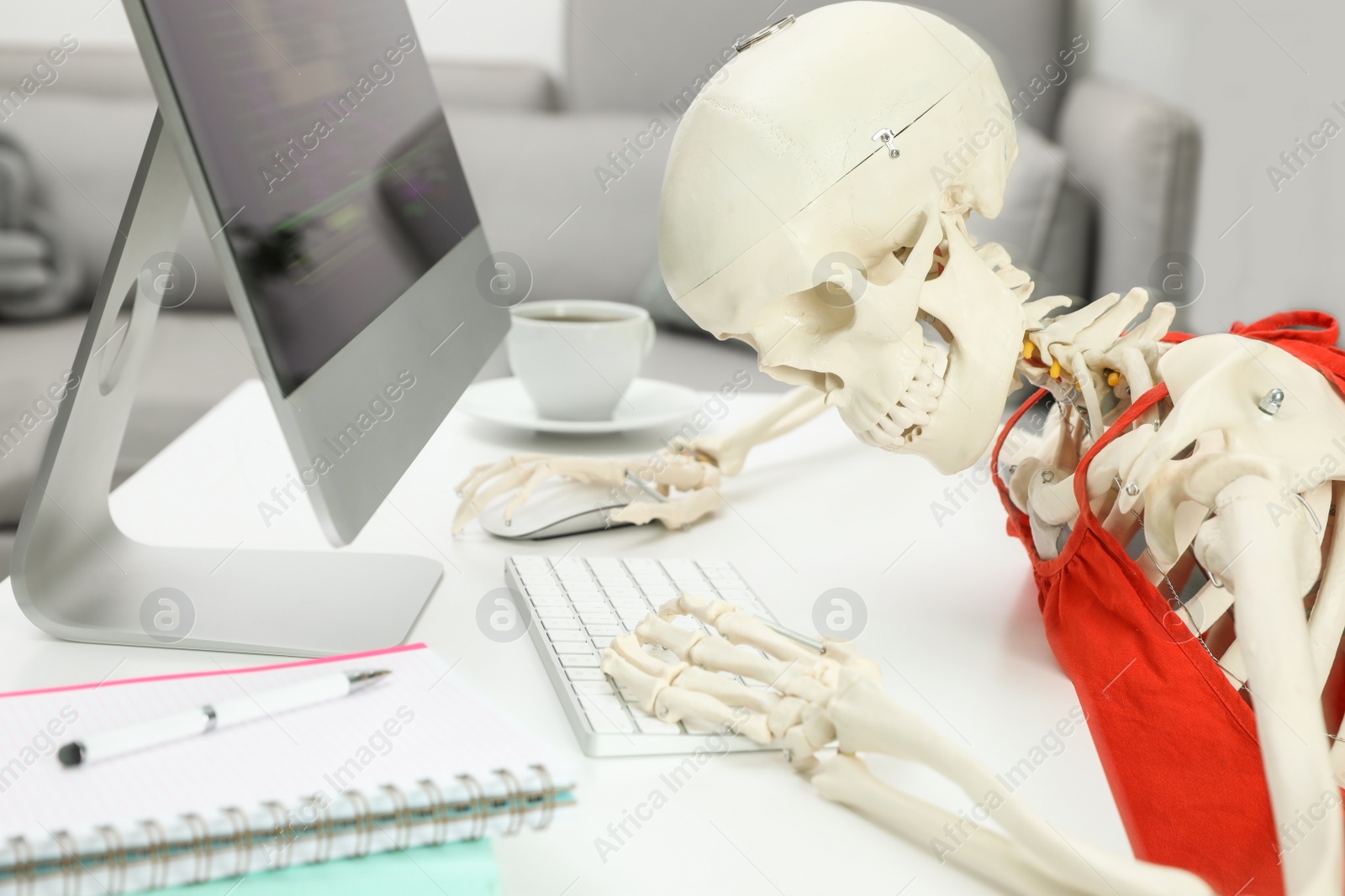 Photo of Human skeleton in red dress using computer at table