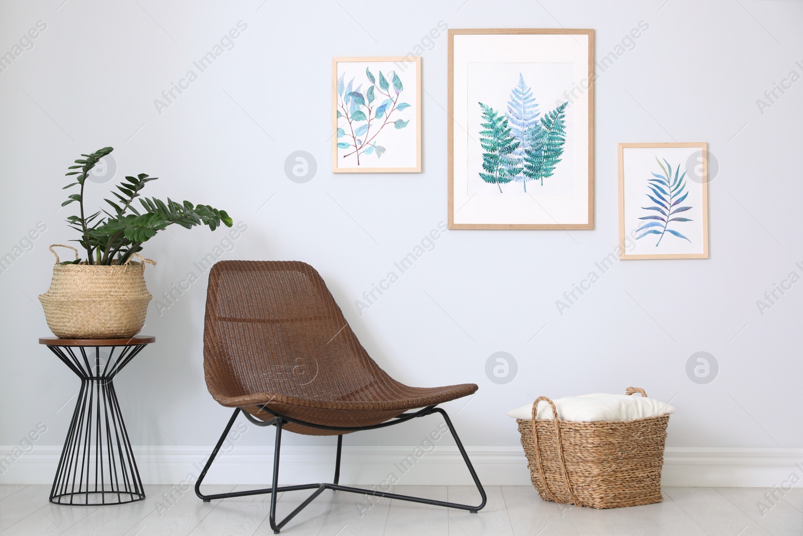 Photo of Comfortable armchair and plant near white wall indoors at home. Idea for interior design