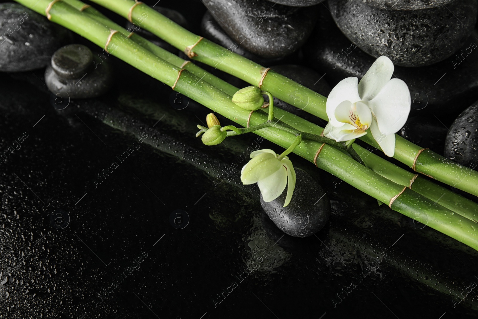 Photo of Bamboo branches with spa stones and orchid on black background