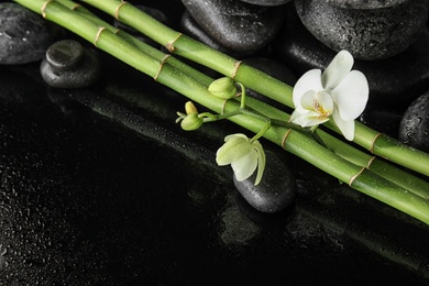 Photo of Bamboo branches with spa stones and orchid on black background