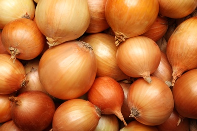 Photo of Fresh whole onions as background, top view