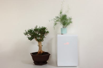 Modern air humidifier and houseplants on white table