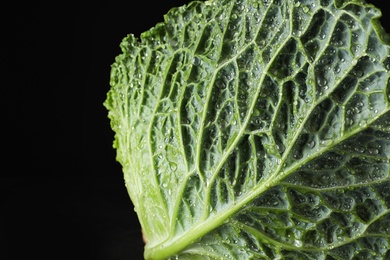 Photo of Green leaf of fresh savoy cabbage on black background, closeup