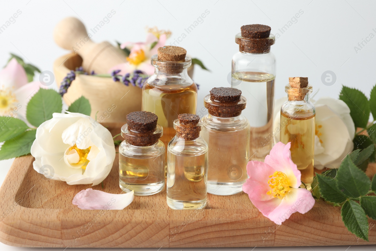 Photo of Aromatherapy. Different essential oils, flowers and green leaves on table