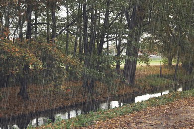 Image of Beautiful park with autumn trees and small river on rainy day