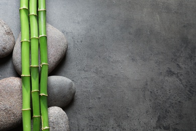 Photo of Flat lay composition with green bamboo stems on grey background. Space for text