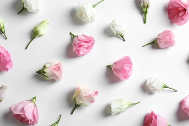 Flat lay composition with beautiful Eustoma flowers on light background