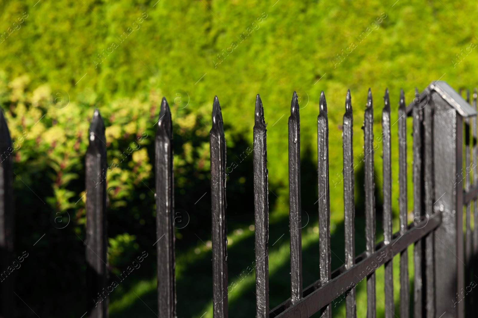 Photo of Beautiful iron fence on sunny day outdoors, closeup