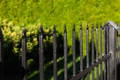 Beautiful iron fence on sunny day outdoors, closeup