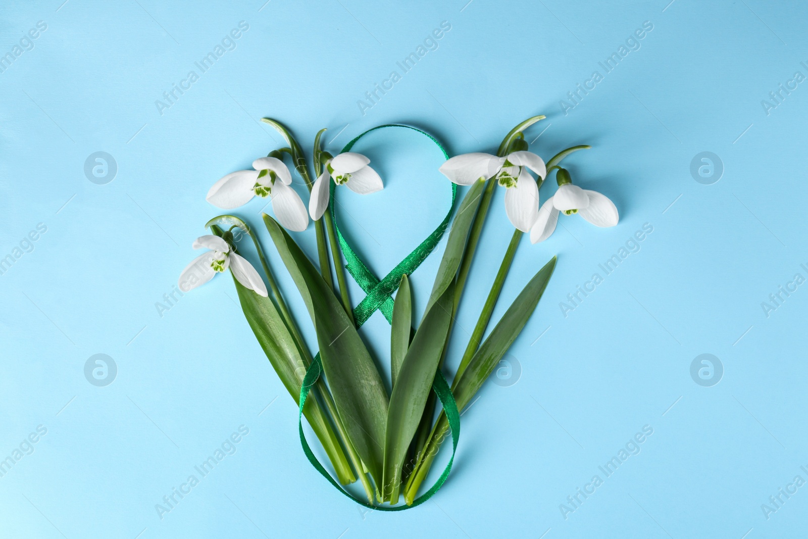 Photo of Beautiful snowdrops and number 8 made of ribbon on light blue background, flat lay