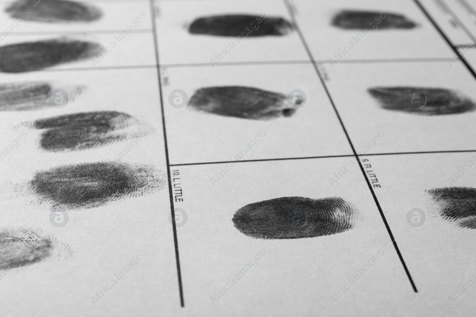 Photo of Police form with fingerprints, closeup. Forensic examination