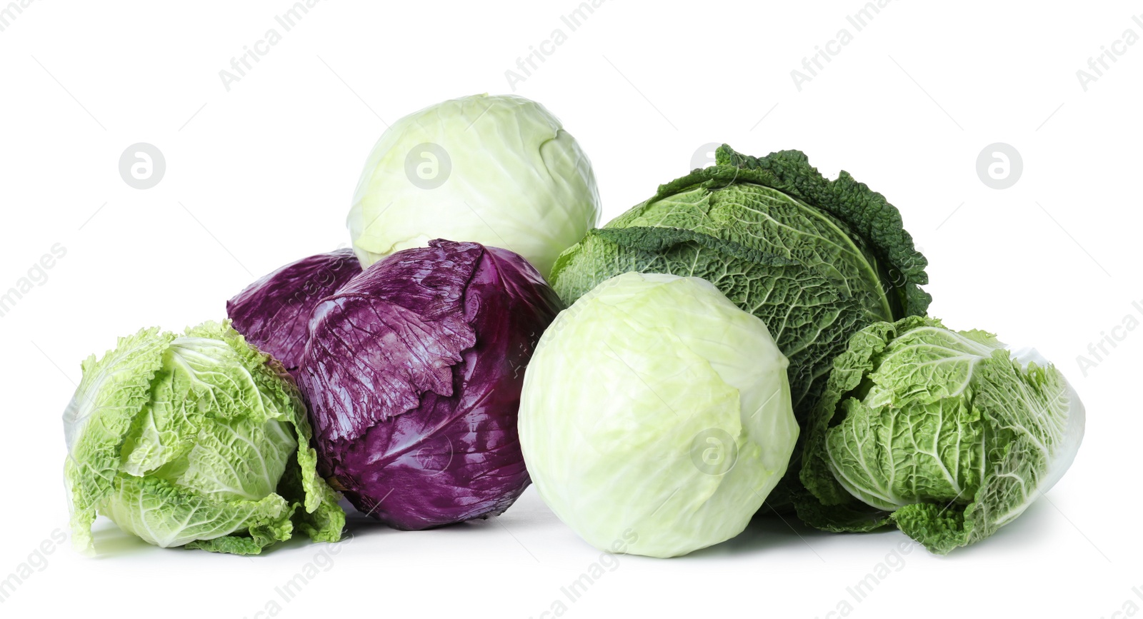 Photo of Different types of cabbage isolated on white